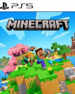 Minecraft ~ PS5