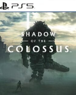Shadow of the Colossus ~ PS5